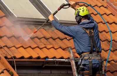 Démoussage et hydrofuge de toiture à Bellon